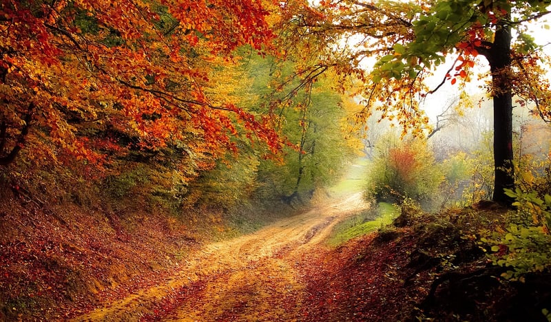 Autumn Flavors