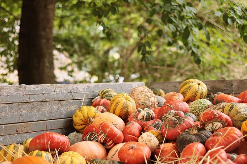 Seasonal Vegetables